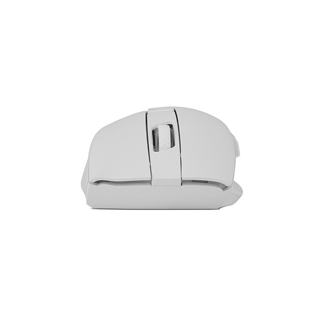 Мышь Sven RX-425W USB белый (SV-014469)