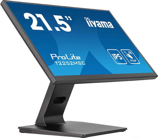 Монитор Iiyama ProLite черный (T2252MSC-B2)
