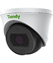 Камера видеонаблюдения Tiandy TC-C32SS Spec:I3/A/E/Y/M/C/H/2.7-13.5mm/V4.0