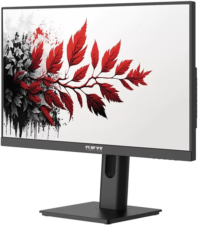Монитор RDW Computers RDW2701K черный (F00B3100V2A1)