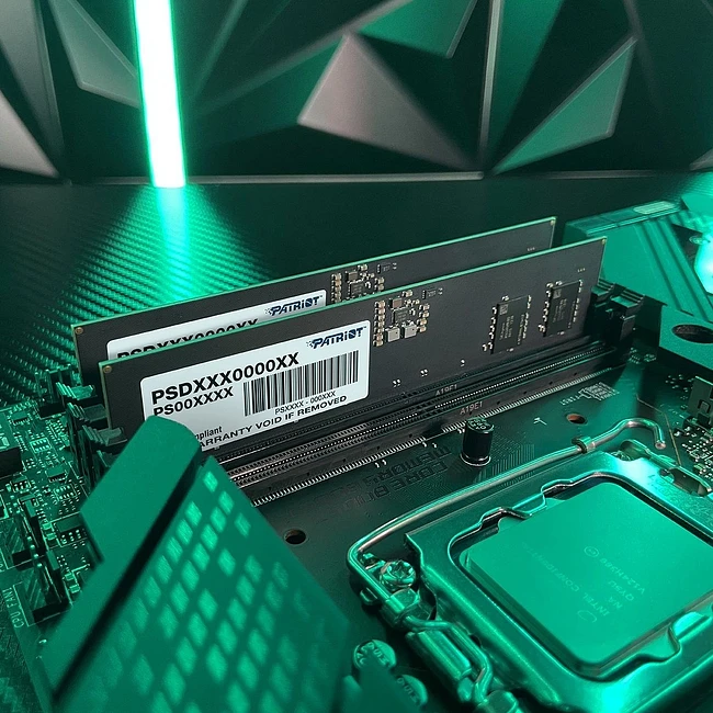 Оперативная память Patriot Signature Line DDR5 32GB (PSD532G52002)