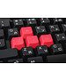 Клавиатура A4Tech Bloody Q100