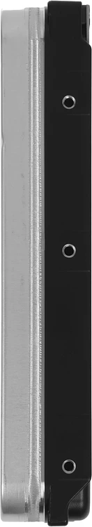 Жесткий диск Seagate SkyHawk AI (ST16000VE004)
