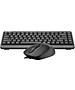 Набор периферии A4Tech Fstyler F1110 Grey черный/серый