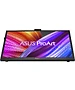 Монитор Asus ProArt PA169CDV черный (90LM0711-B01I70)