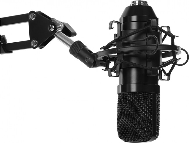 Микрофон Ritmix RDM-169