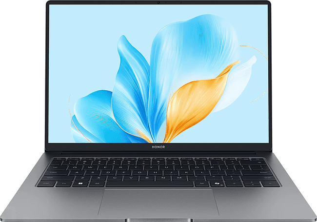 Ноутбук Honor MagicBook X14 Plus 2025 FRB-X Space Gray (5301ALWC)