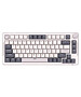 Клавиатура Royal Kludge RK-H81 Blue switch/White Night