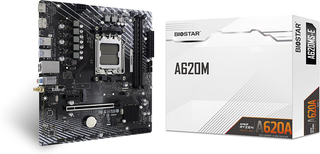 Материнская плата Biostar A620MS-E