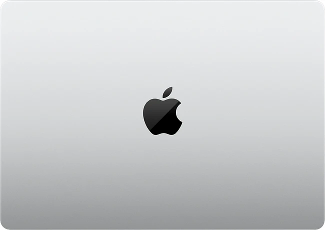 Ноутбук Apple MacBook Pro A3426 Silver (MGDN4ZA/A)