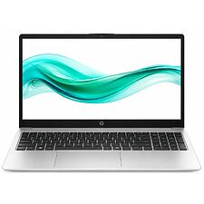 Ноутбук HP 250R G10 Silver (DN6W3ET)