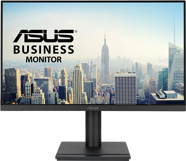 Монитор ASUS Business VA249QGSE черный (90LM02W1-B02371)