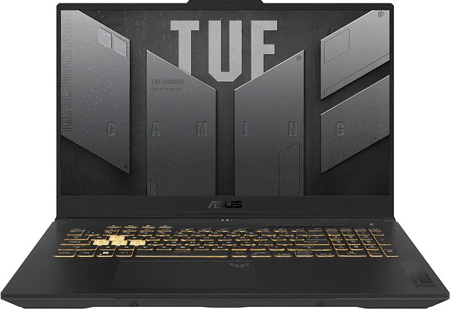 Ноутбук ASUS TUF Gaming F17 FX707VJB-HX125W Mecha Gray (90NR0MY5-M00570)