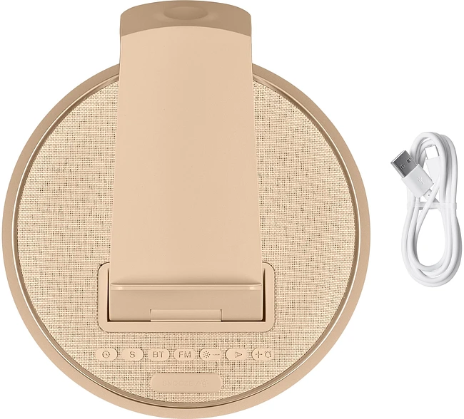 Портативная колонка BBK BTA1110 GD золотистый