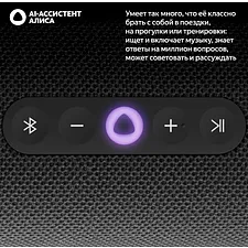 Умная колонка Яндекс Станция Стрит черный (YNDX-00030BLK)