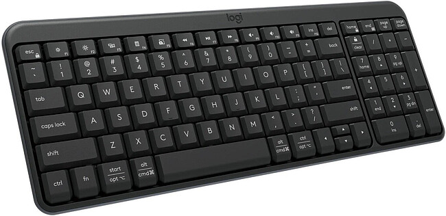 Клавиатура Logitech K250 графитовый (920-013452)