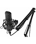 Микрофон Ritmix RDM-169