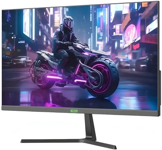 Монитор Elsa EA241GS Pro