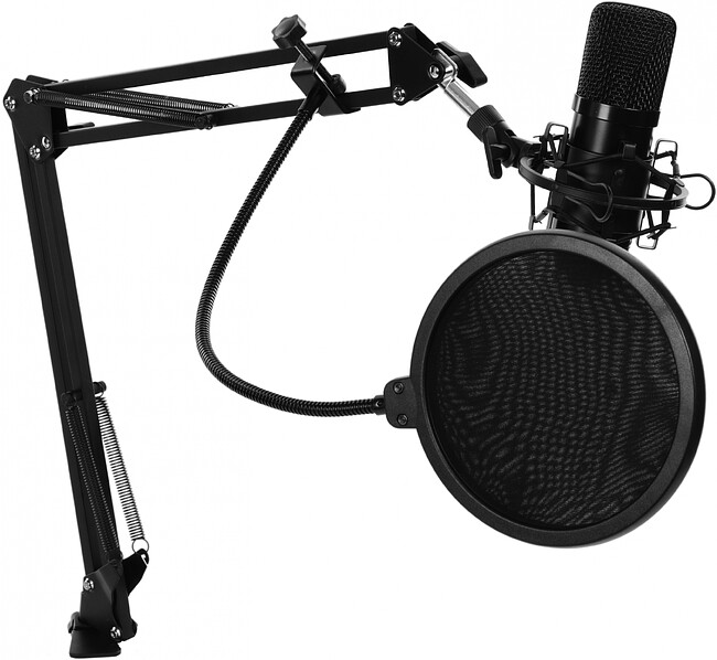 Микрофон Ritmix RDM-169