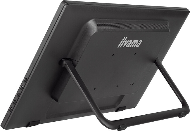 Монитор Iiyama ProLite T2455MSC-B1 черный