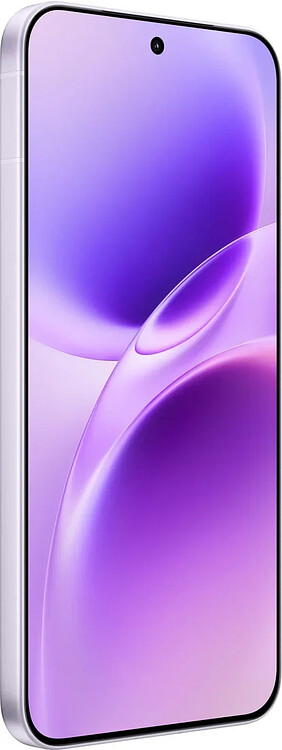 Смартфон Vivo X300FE 5G 12GB/512GB холодный лиловый (V2537)