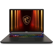 Ноутбук MSI MS-17S3 Vector 17 HX AI A2XWHG-248XBY Cosmos Gray (9S7-17S372-248)