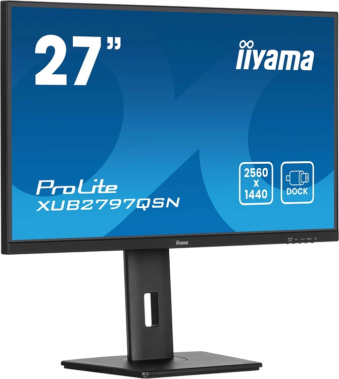Монитор Iiyama ProLite XUB2797QSN-B2 черный