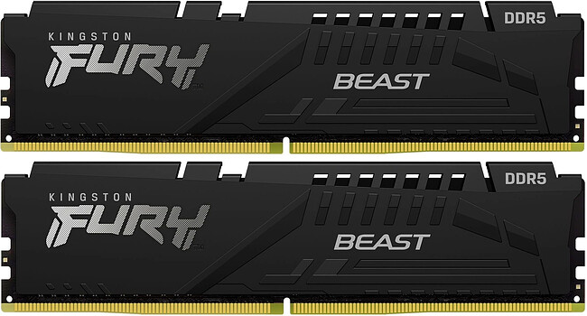 Оперативная память Kingston Fury Beast Black Expo 64GB DDR5 (KF552C40BB2K2-64)
