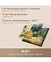 Телевизор Dreame AuraFrame QLED 4K TV - 65 UHD (65Q100F) BY