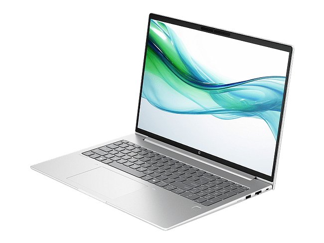 Ноутбук HP ProBook 460 G11 Silver (D2FP5ET)
