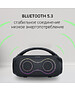 Портативная колонка Digma D-PS1532 черный