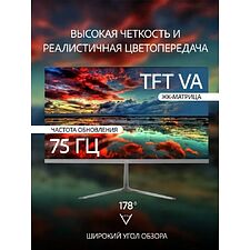 Монитор Leff 24FV100