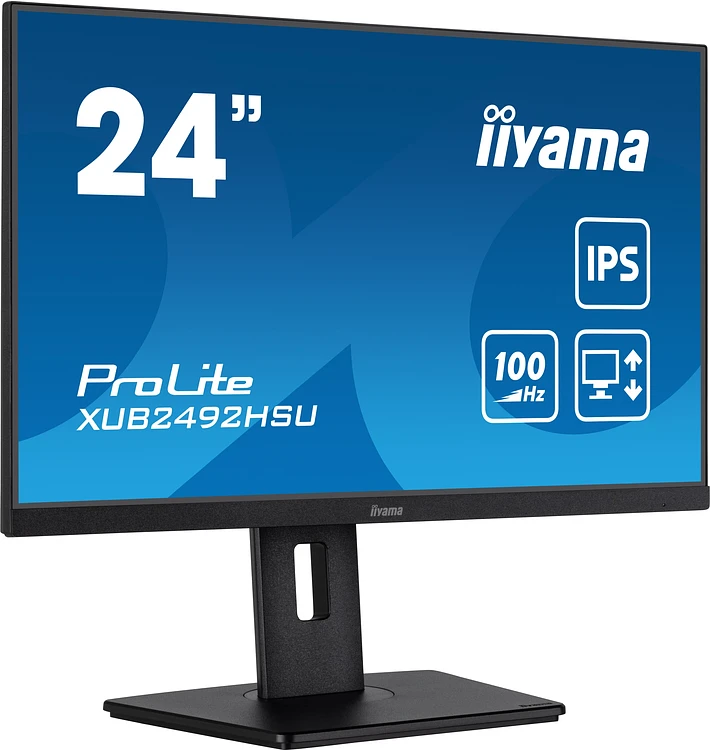 Монитор Iiyama ProLite XUB2492HSU-B6 черный