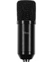 Микрофон Ritmix RDM-169