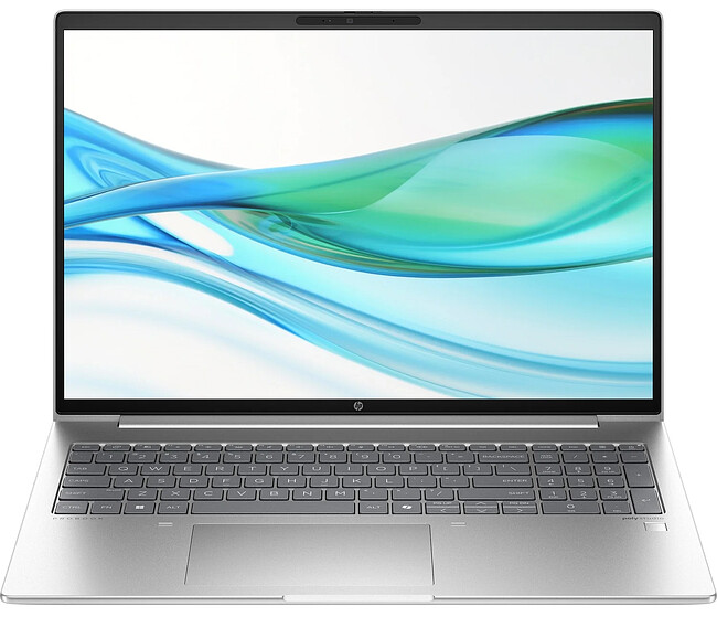 Ноутбук HP ProBook 460 G11 Pike Silver (CT4F7PC)