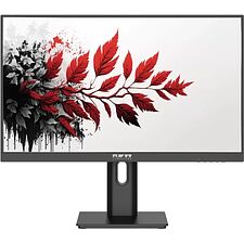 Монитор RDW Computers RDW2401K черный (2401K/F05B3120V2A1B)