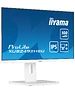 Монитор Iiyama ProLite XUB2492HSU-W6 белый