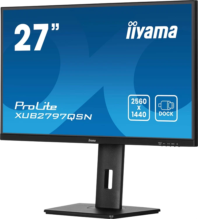 Монитор Iiyama ProLite XUB2797QSN-B2 черный