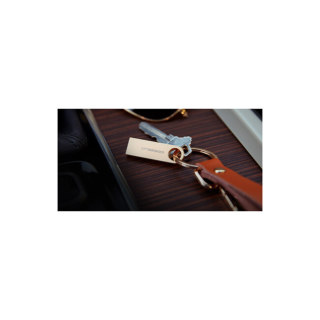 USB Flash-накопитель Kingston Data Traveler SE9 G3 128Gb (DTSE9G3/128GB)