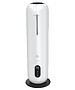 Увлажнитель воздуха Royal Clima Riva (RUH-RV300/8.0E-WT)