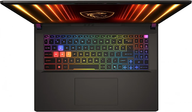 Ноутбук MSI Vector 17 HX AI A2XWIG-063XRU Cosmos Gray (9S7-17S372-063)