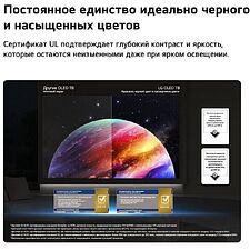 Телевизор LG OLED42C6RLA