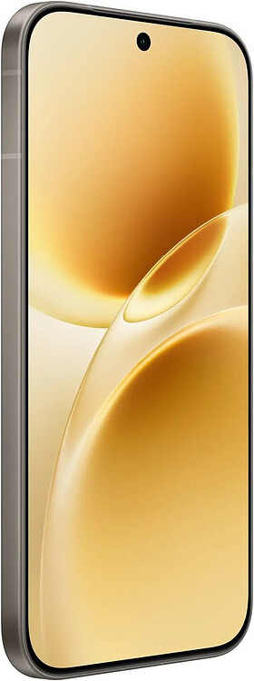 Смартфон Vivo V70 8GB/256GB Gray (V2538)