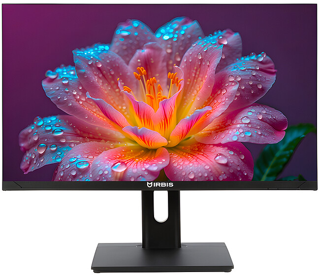 Монитор Irbis SmartView ISM24FIDR_U