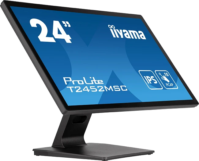 Монитор Iiyama ProLite T2452MSC-B1 черный