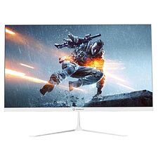 Монитор Raskat I24F10DAW