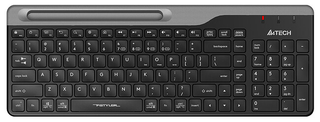 Клавиатура A4Tech Fstyler черный/серый (FBK25)