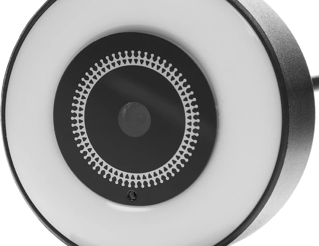 Веб-камера Ritmix RVC-250