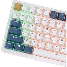 Клавиатура Royal Kludge RK98 Brown switch/Klein Blue