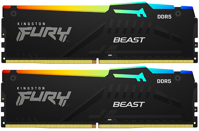 Оперативная память Kingston Fury Beast Black RGB 2x32GB DDR5 DIMM PC5-41600 (KF552C40BB2AK2-64)